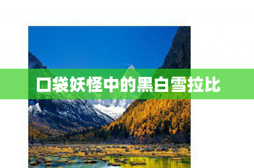 口袋妖怪中的黑白雪拉比图片