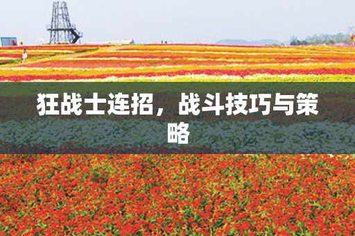 战斗技巧与策略图片