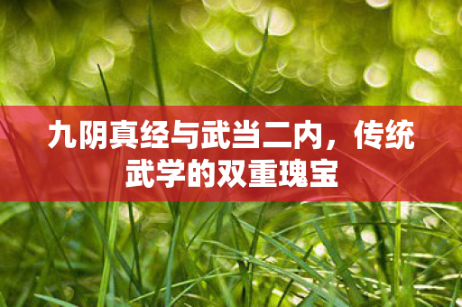 九阴真经与武当二内图片