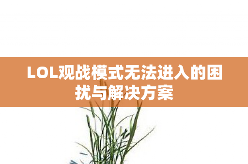 LOL观战模式无法进入的困扰与解决方案图片