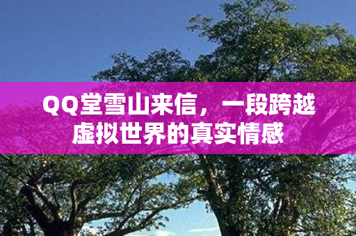 一段跨越虚拟世界的真实情感图片