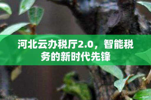 智能税务的新时代先锋图片