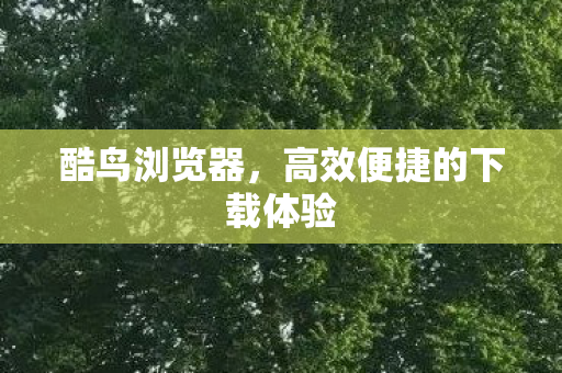 高效便捷的下载体验图片
