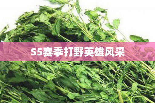 S5赛季打野英雄风采图片