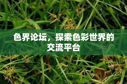 探索色彩世界的交流平台图片