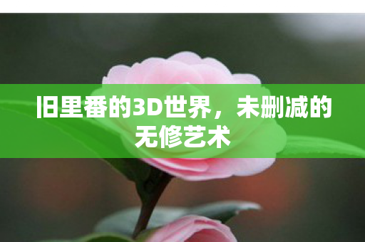 旧里番的3D世界图片
