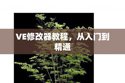 VE修改器教程图片