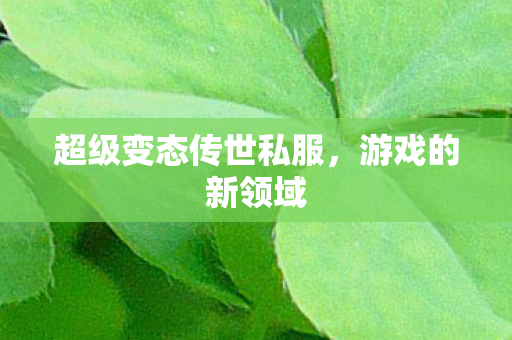 超级变态传世私服图片