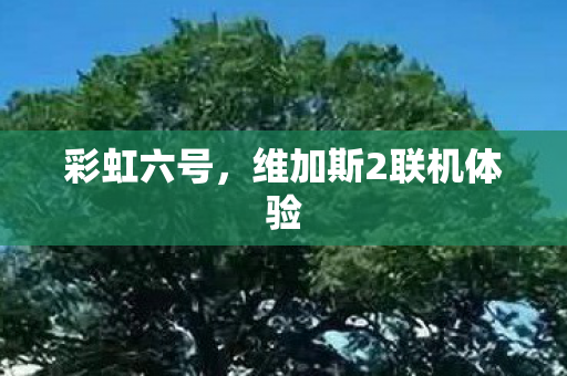 维加斯2联机体验图片