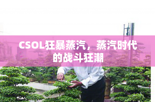 蒸汽时代的战斗狂潮图片