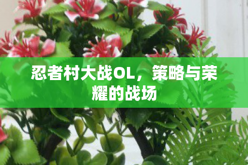策略与荣耀的战场图片