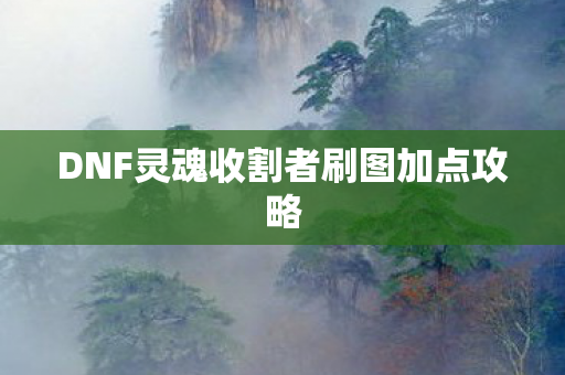 DNF灵魂收割者刷图加点攻略图片