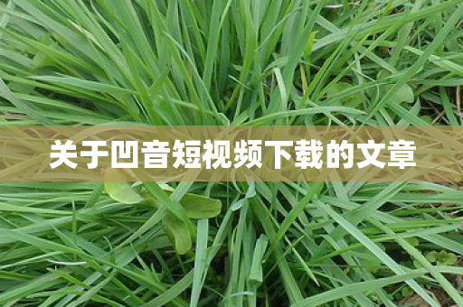 关于凹音短视频下载的文章图片