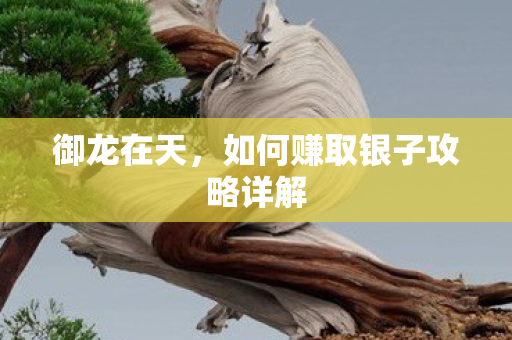 如何赚取银子攻略详解图片