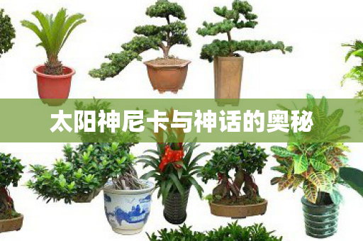 太阳神尼卡与神话的奥秘图片