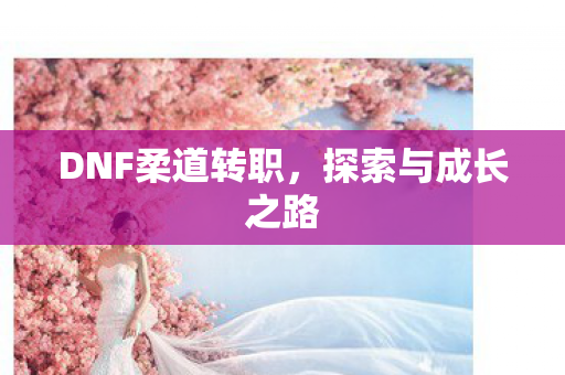 DNF柔道转职图片