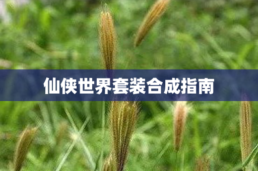 仙侠世界套装合成指南图片