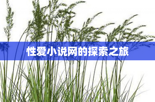 性爱小说网的探索之旅图片
