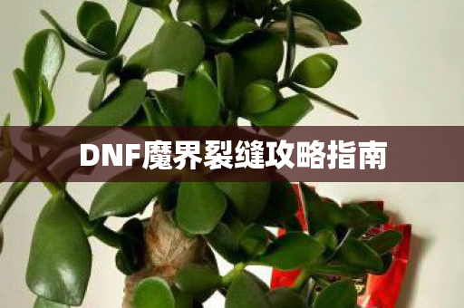 DNF魔界裂缝攻略指南图片