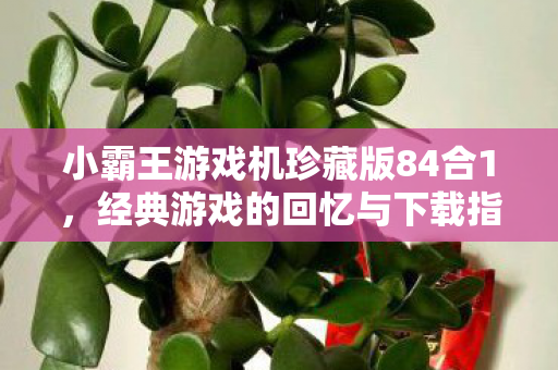 小霸王游戏机珍藏版84合1图片