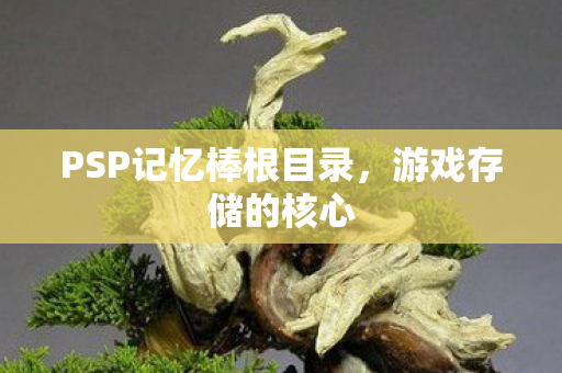 PSP记忆棒根目录图片