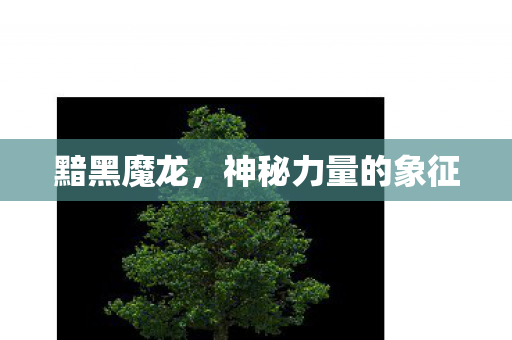 神秘力量的象征图片