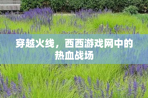 西西游戏网中的热血战场图片