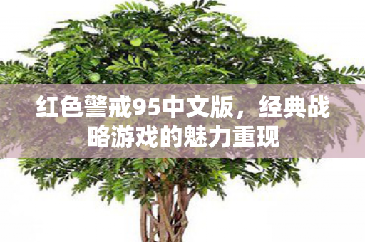 经典战略游戏的魅力重现图片