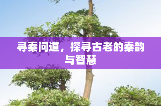 探寻古老的秦韵与智慧图片