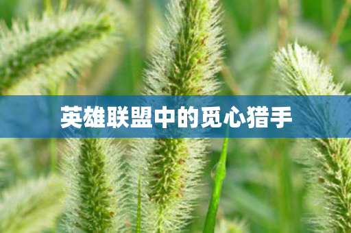 英雄联盟中的觅心猎手图片