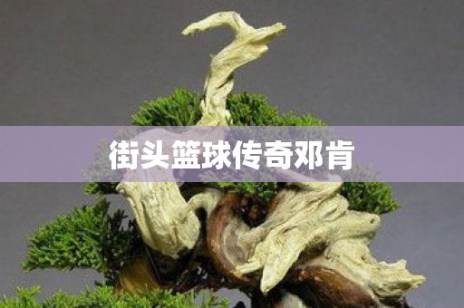 街头篮球传奇邓肯图片