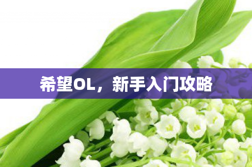 新手入门攻略图片