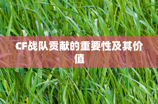 CF战队贡献的重要性及其价值图片