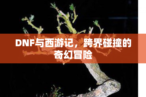 跨界碰撞的奇幻冒险图片