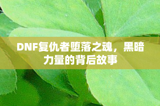 DNF复仇者堕落之魂图片