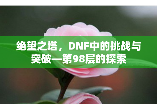 DNF中的挑战与突破图片