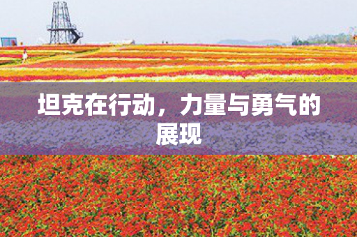 力量与勇气的展现图片