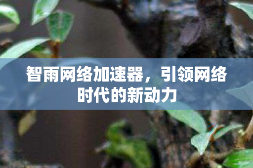 引领网络时代的新动力图片