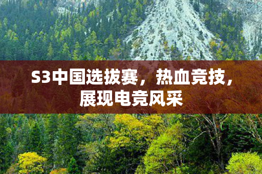 S3中国选拔赛图片
