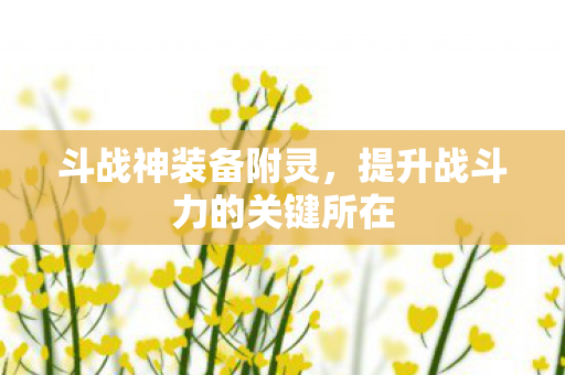 提升战斗力的关键所在图片