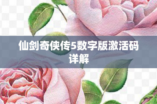 仙剑奇侠传5数字版激活码详解图片
