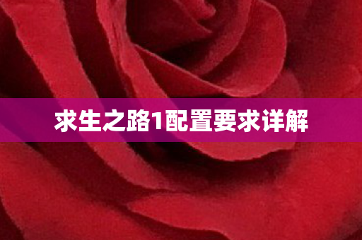 求生之路1配置要求详解图片