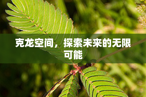 探索未来的无限可能图片