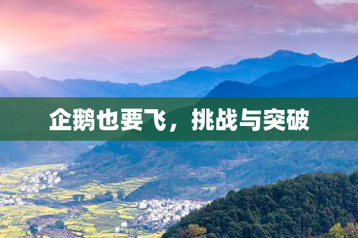 企鹅也要飞图片
