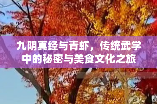 传统武学中的秘密与美食文化之旅图片