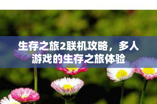 多人游戏的生存之旅体验图片