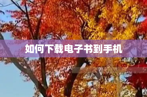 如何下载电子书到手机图片
