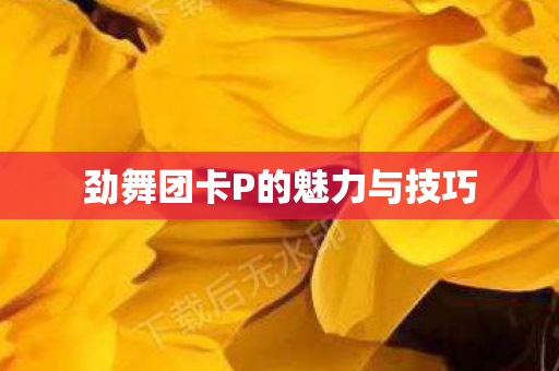 劲舞团卡P的魅力与技巧图片