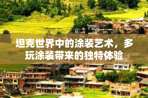 多玩涂装带来的独特体验图片