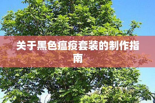 关于黑色瘟疫套装的制作指南图片